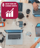 sdg goal 8 image